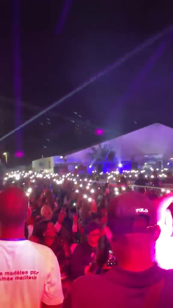 Public d'un concert en plein air, faisceaux au-dessus de la foule